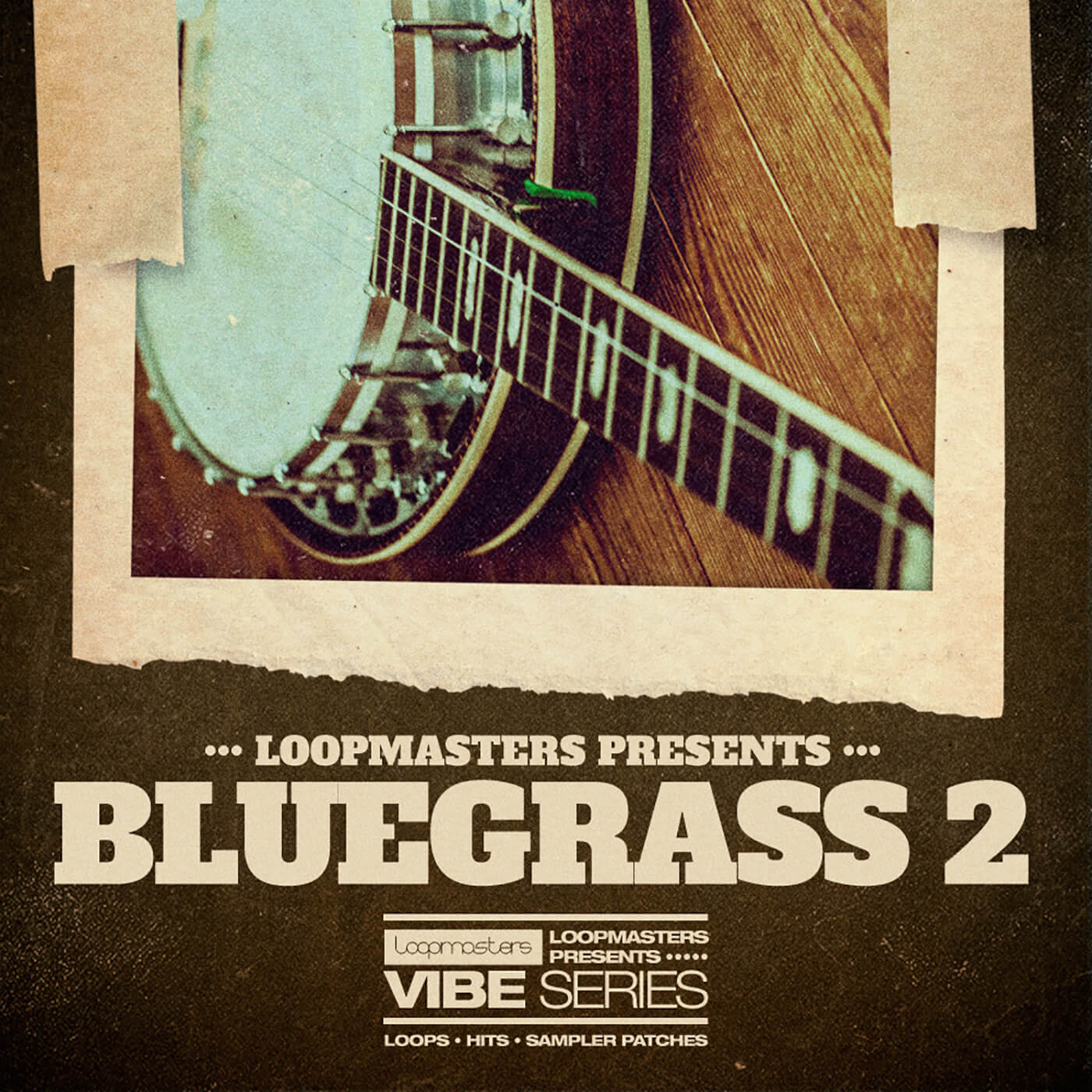 Loopmasters - Vibes 16 Bluegrass Vol.2