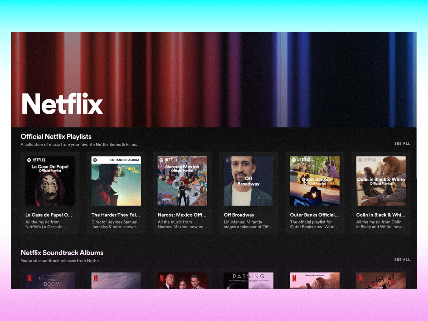Netflix Spotify Hub