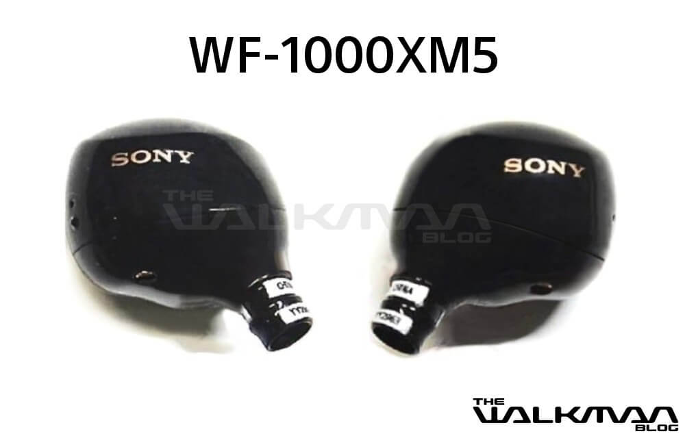 Sony WF1000-XM5 earbuds