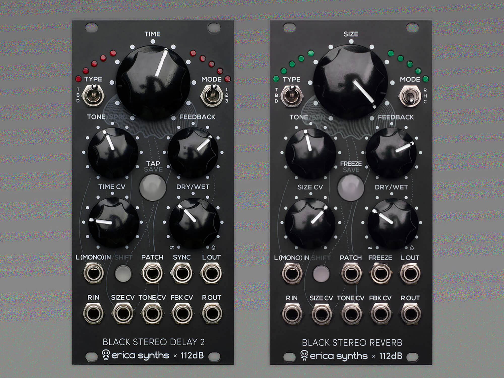 Erica Synths Black Stereo Delay2 and Black Stereo Reverb.