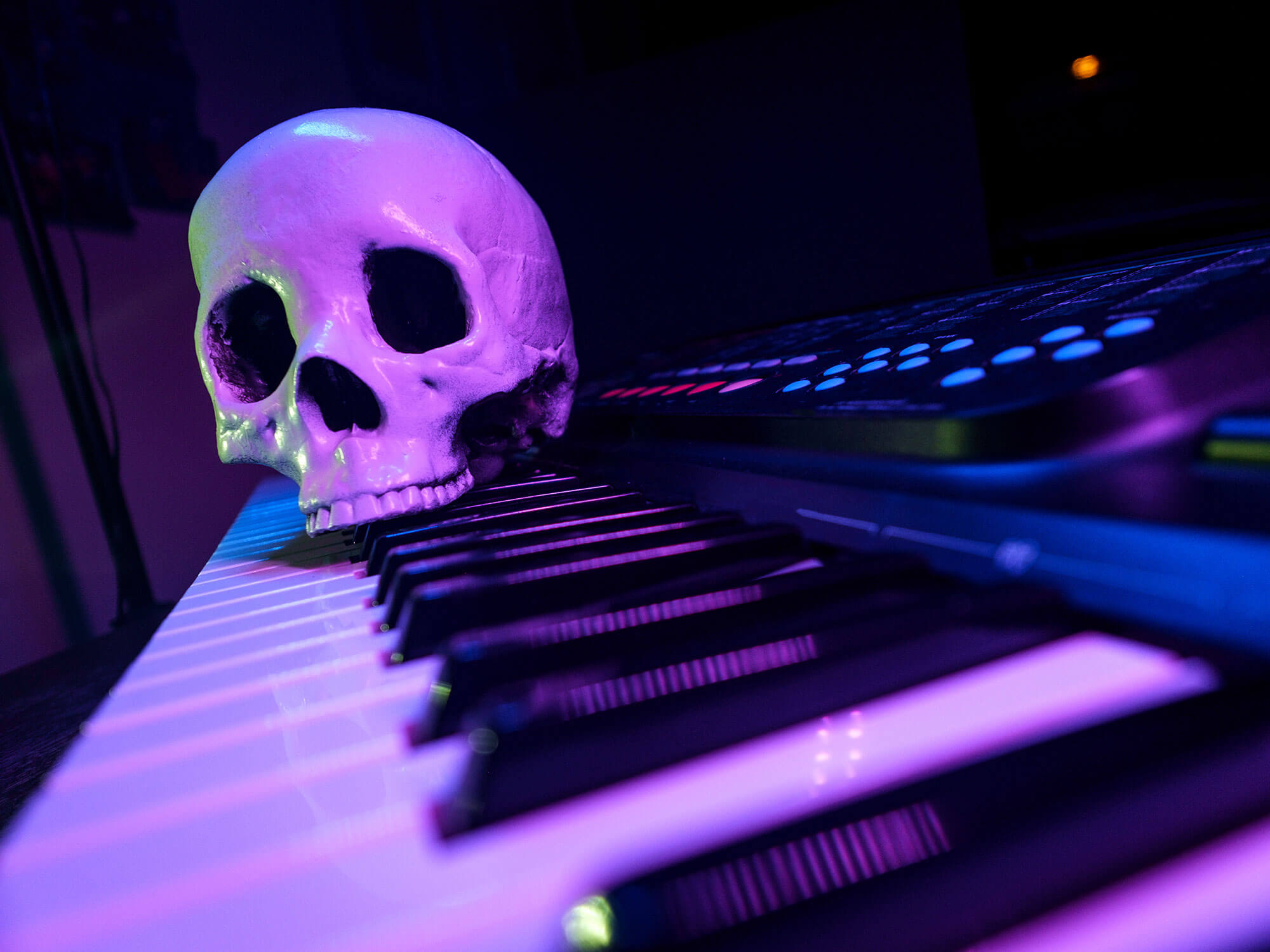 Human skull on a keyboard
