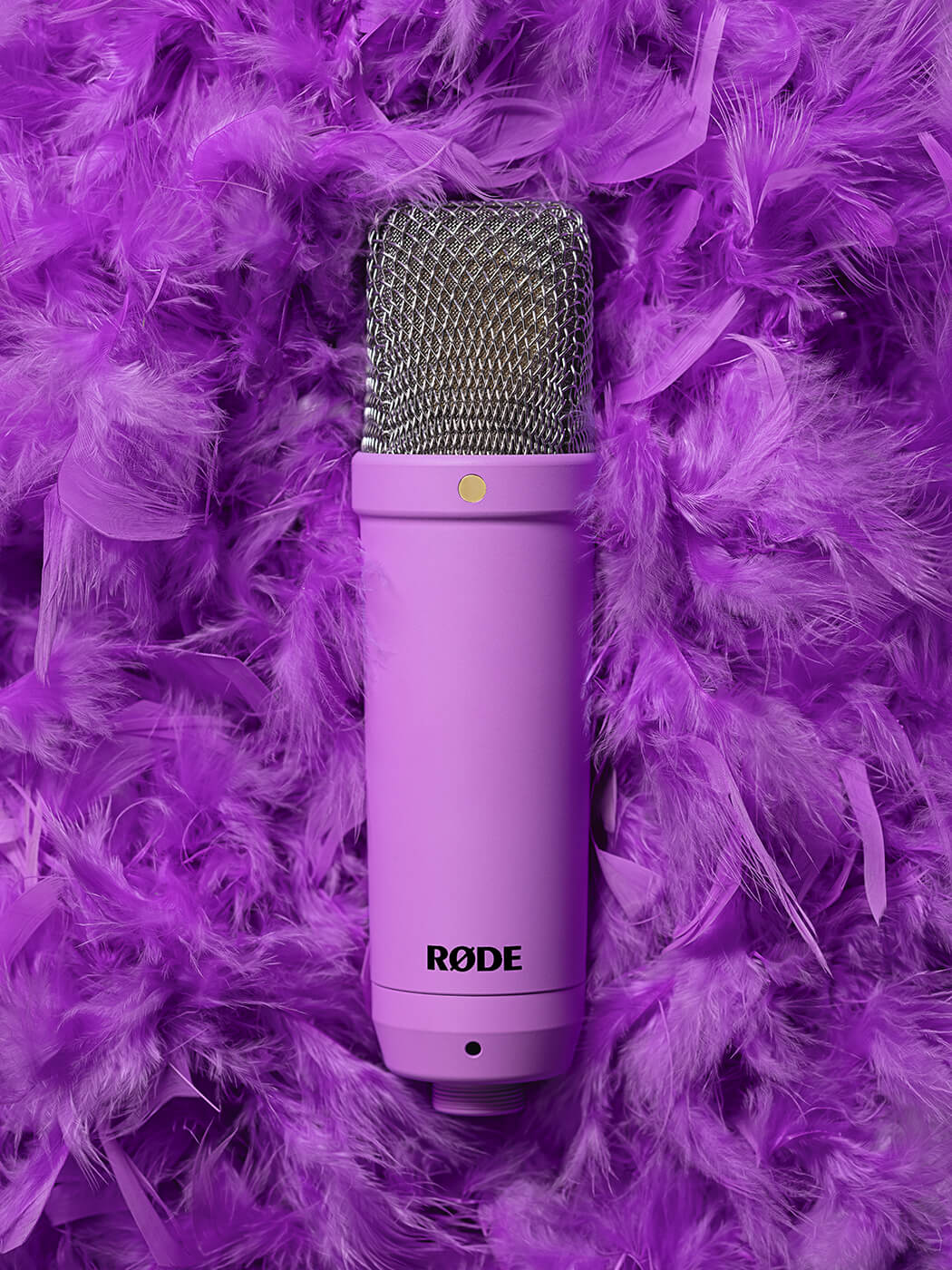 RØDE NT1 Signature Series condenser microphone in purple, photographed against a background of purple feathers