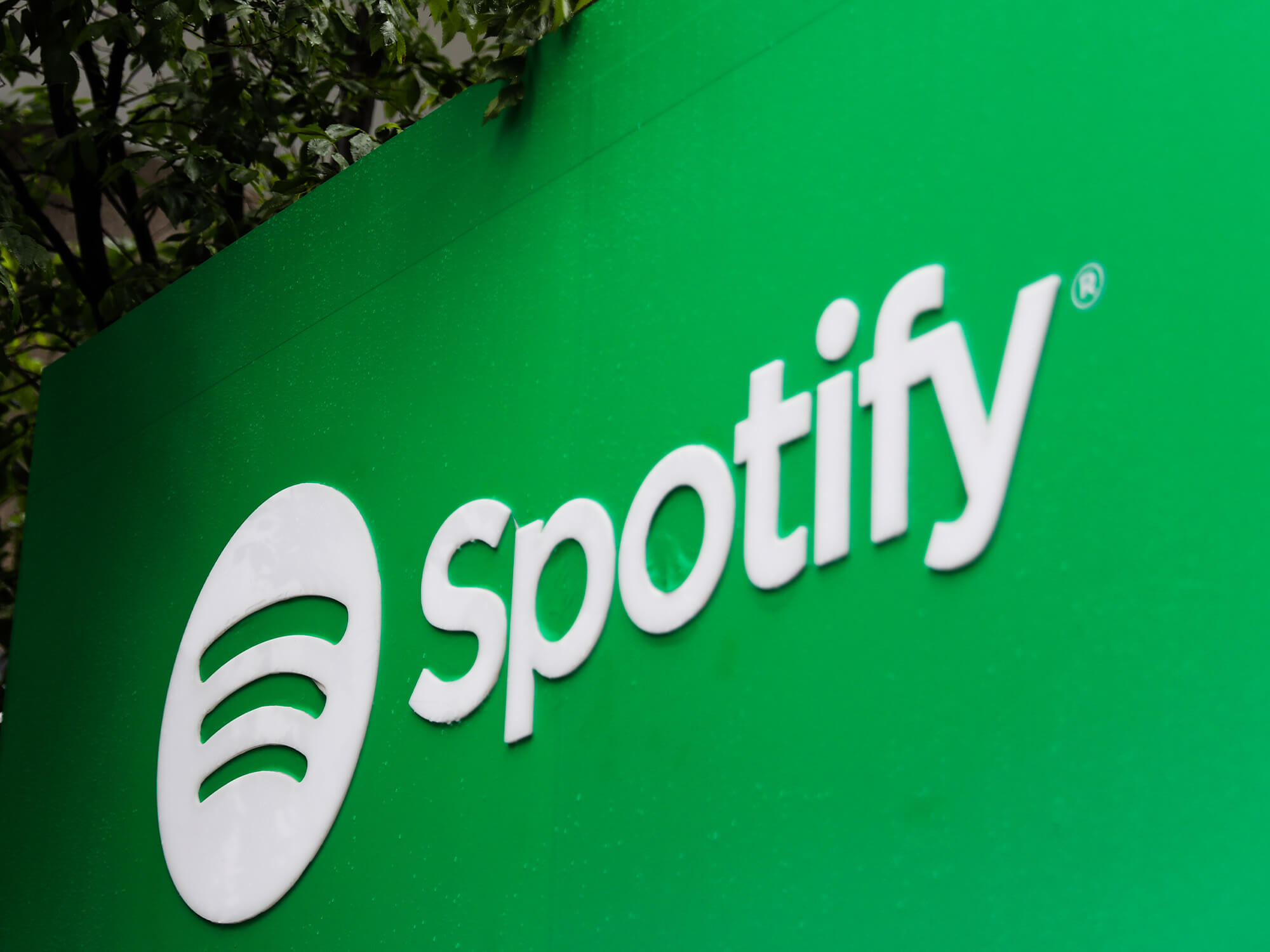 Spotify logo in white text on a green wall next to some trees