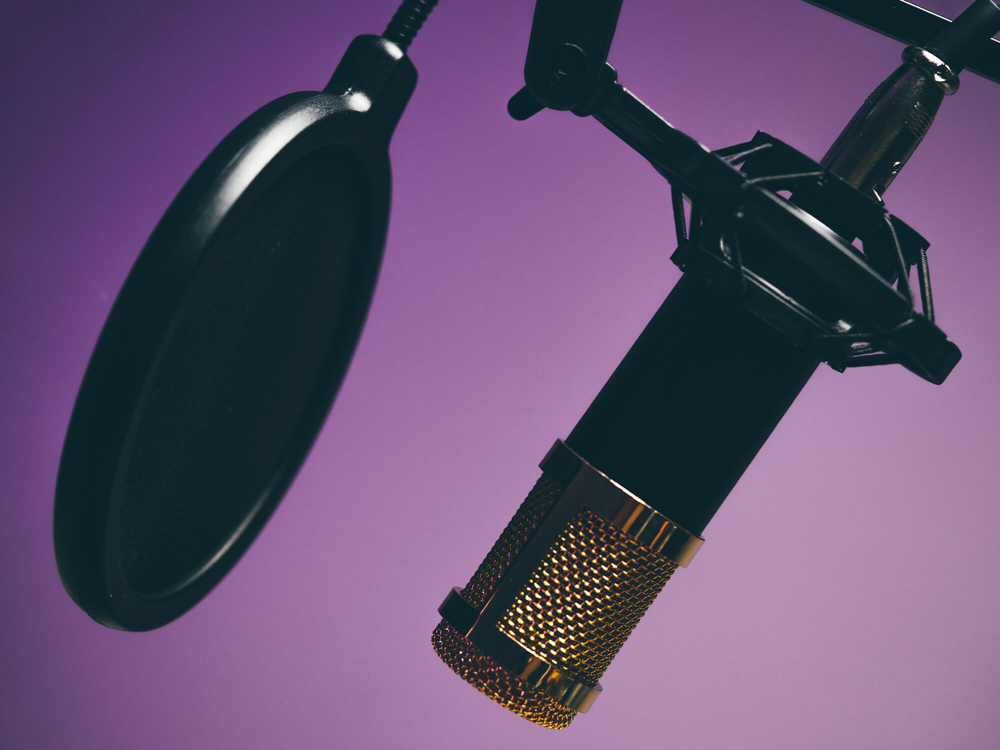 A stock photo of a microphone and pop filter in front of a purple background